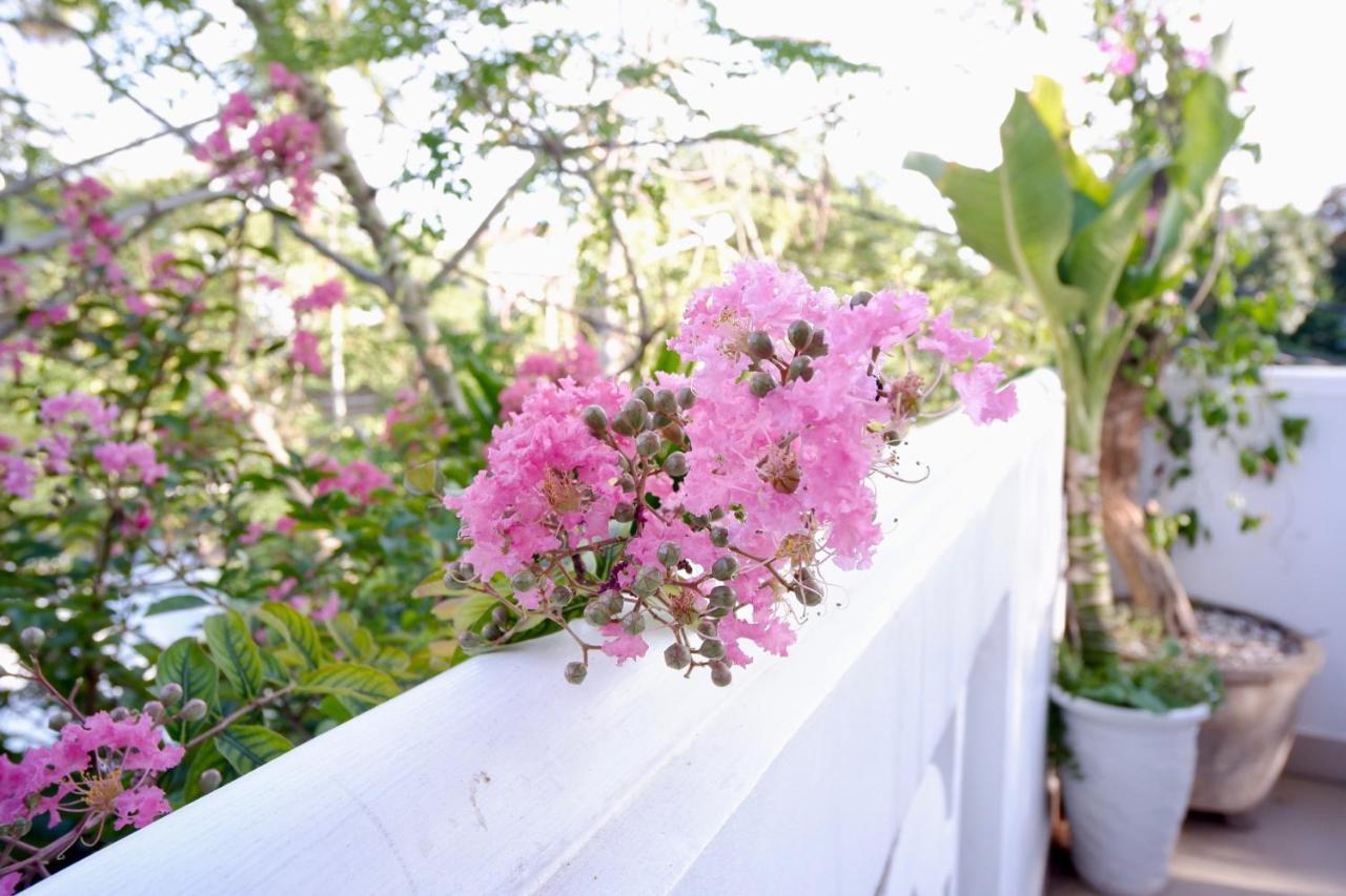 Minh Phat Homestay Хой Ан Екстериор снимка